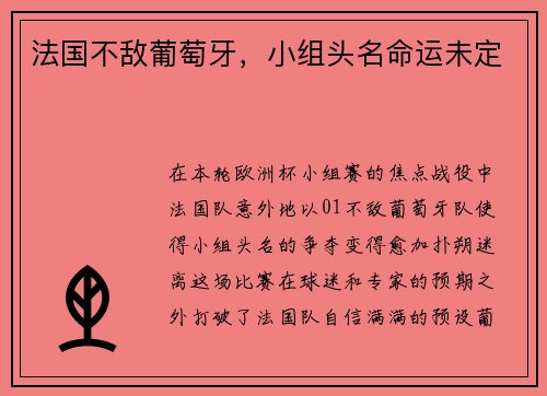 法国不敌葡萄牙，小组头名命运未定