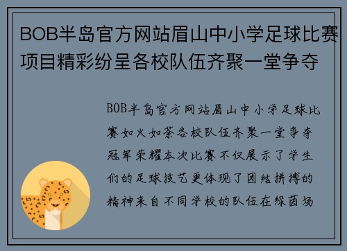 BOB半岛官方网站眉山中小学足球比赛项目精彩纷呈各校队伍齐聚一堂争夺冠军荣耀